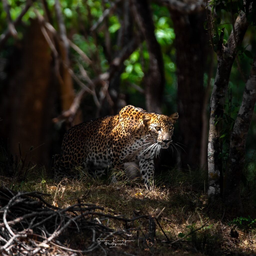 525349651_1071012988547833_5037724998819928383_n